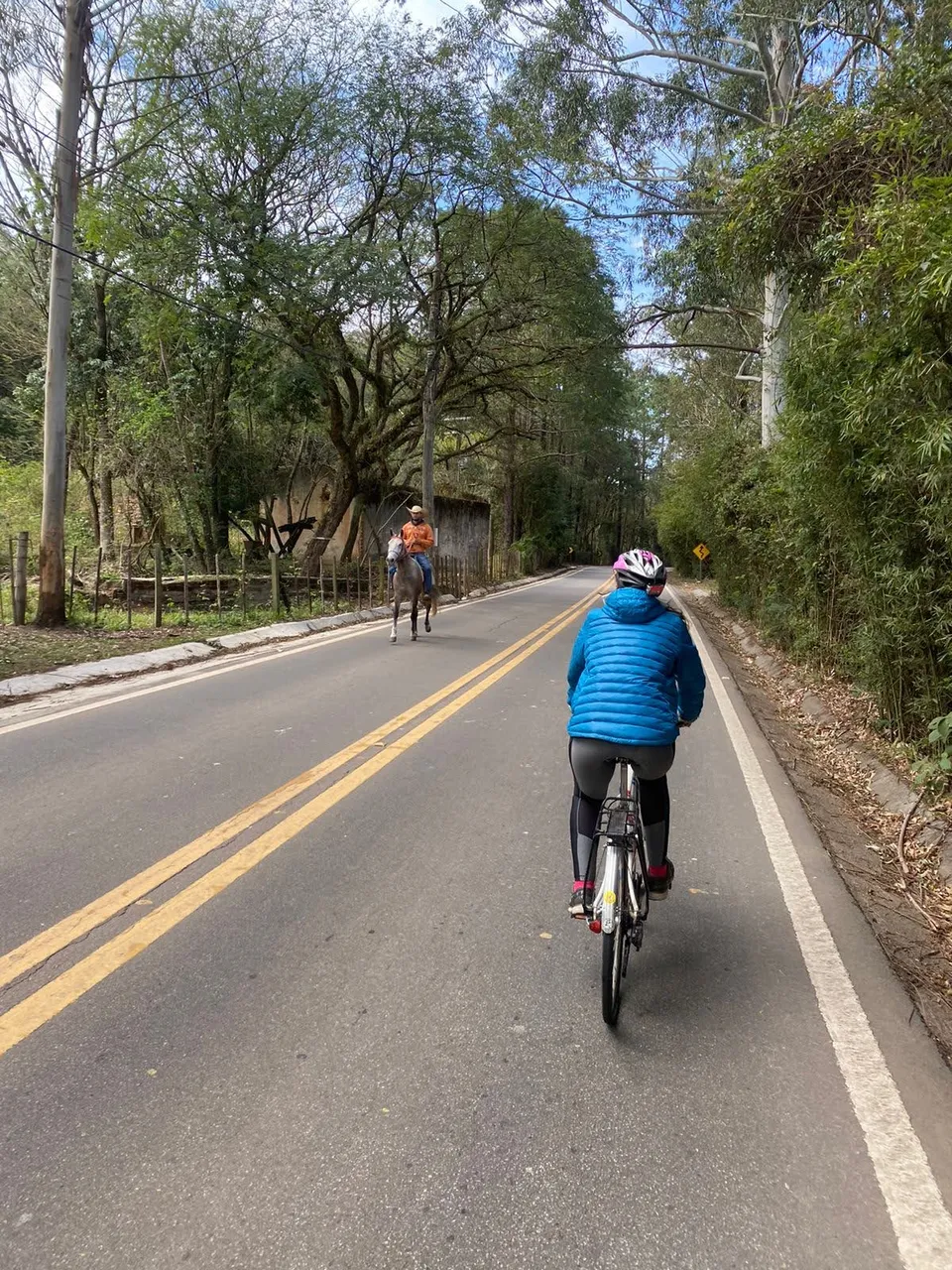 no cars but horses.jpg