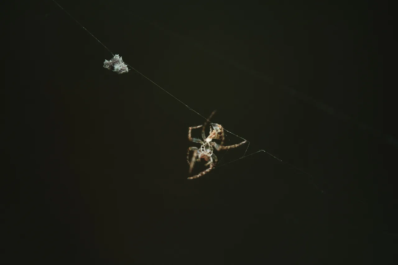 DSCF8565.jpg
