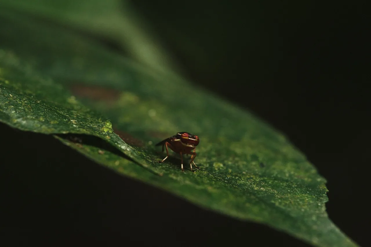 DSCF8592.jpg
