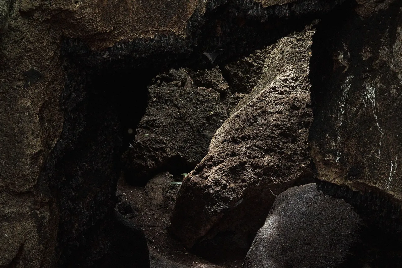 DSCF8173.jpg
