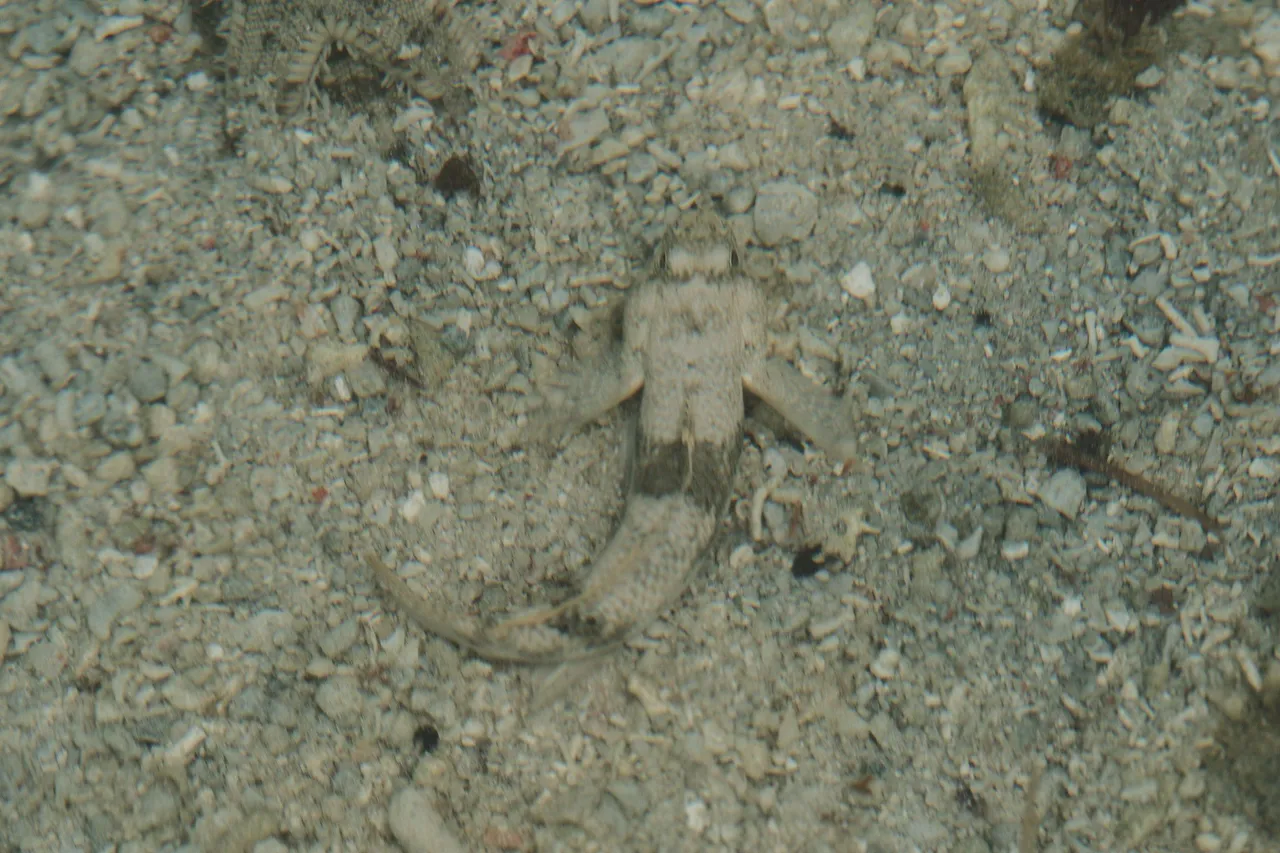 DSCF8525.jpg