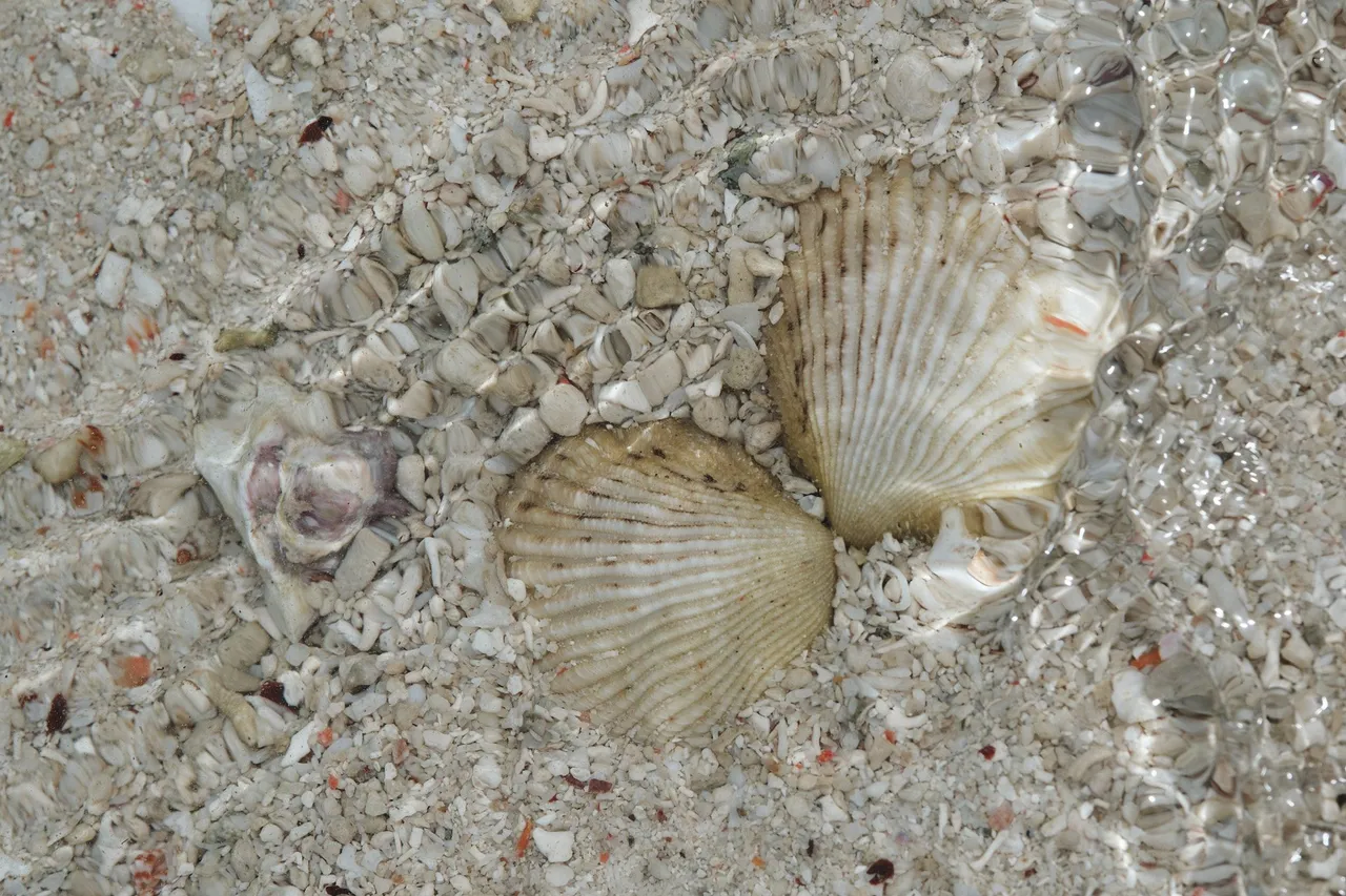 DSCF8347.jpg