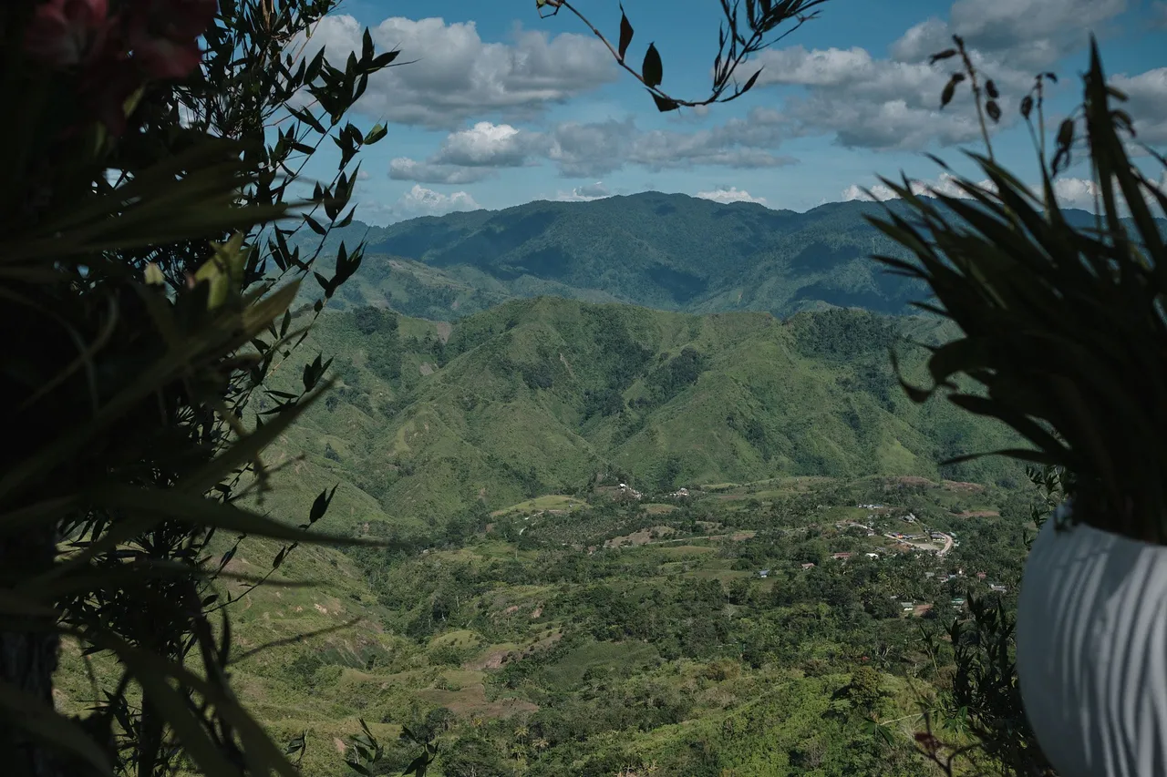 DSCF8269.jpg