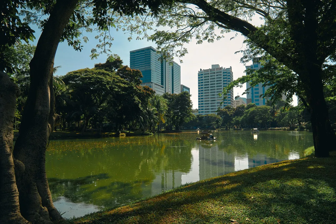 _DSF3145.jpg
