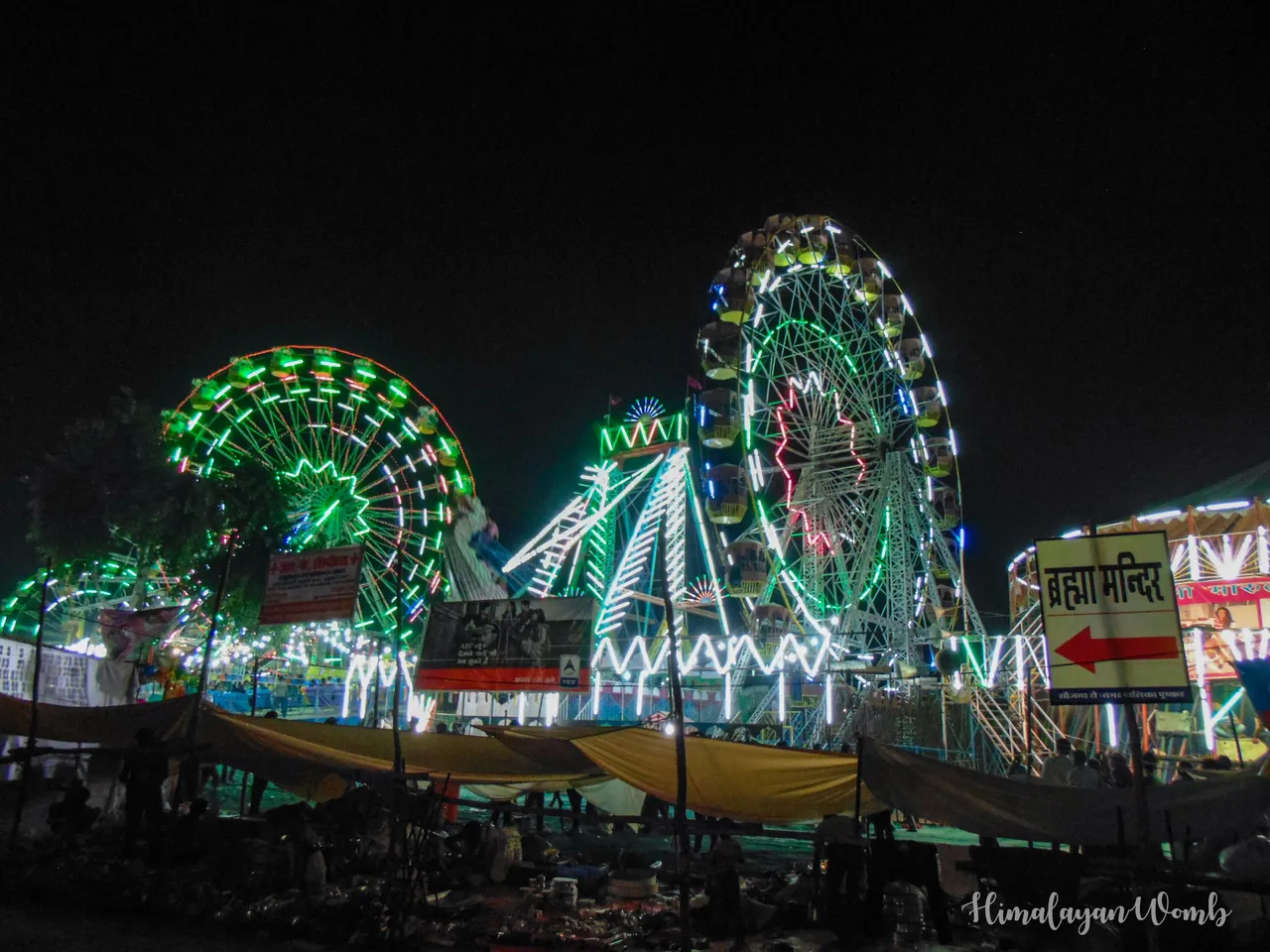 DSC09007.jpg