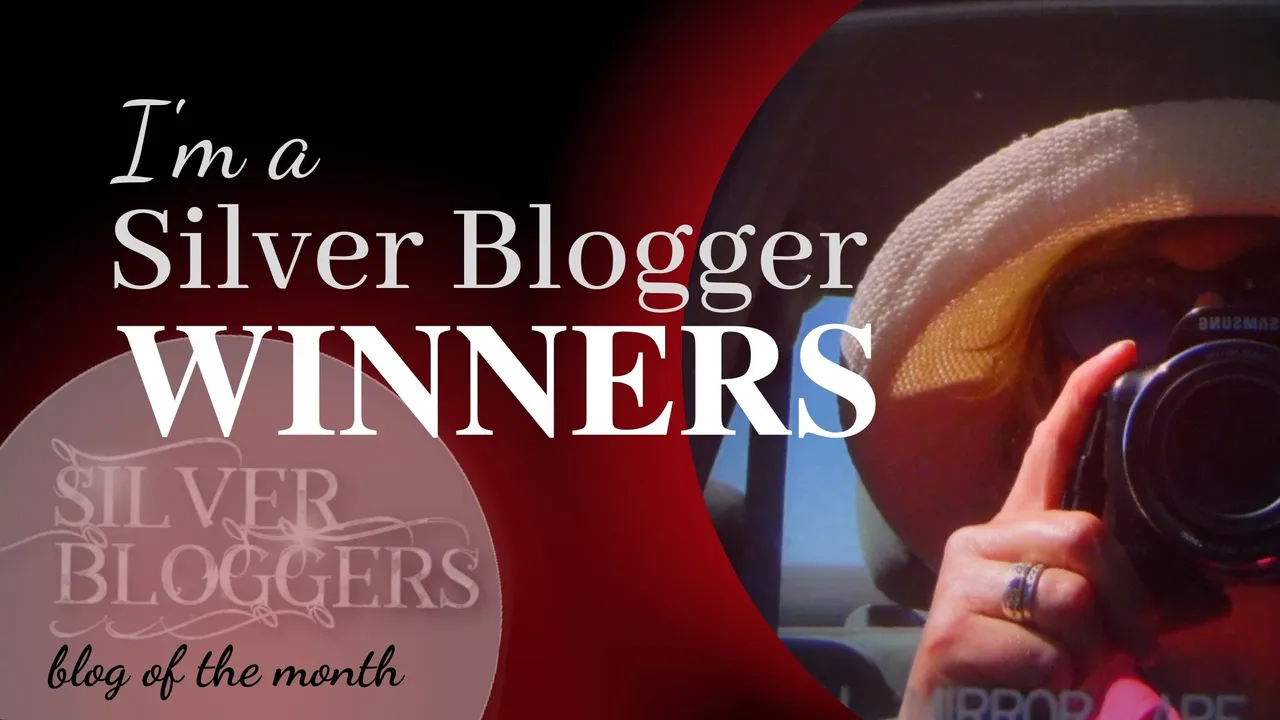 BoM - March - Silverblogger winners.jpg