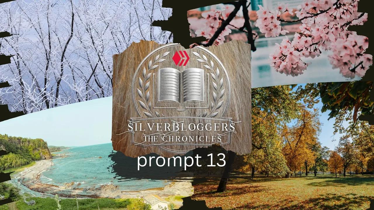 SB Chronicles 13.jpg