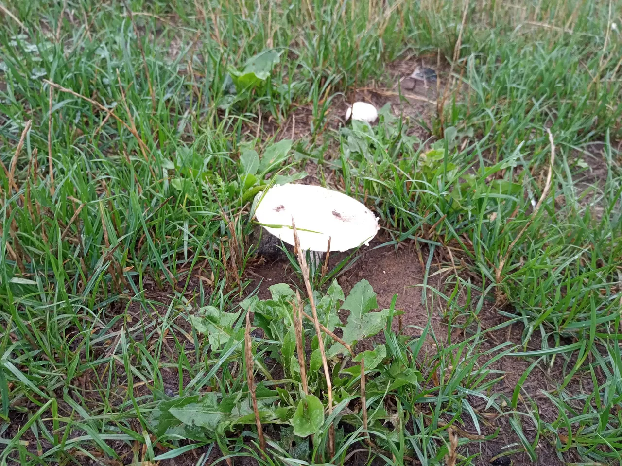 IMG_20230805_164609.jpg