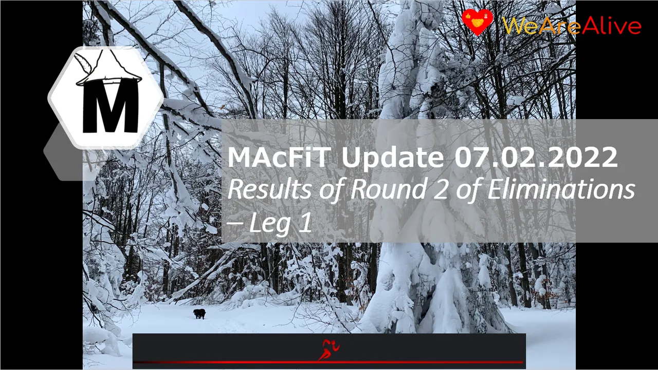 MAcFiT0702.png
