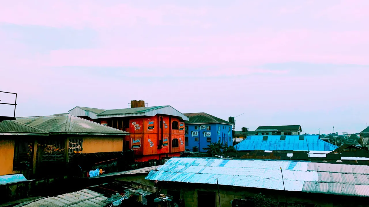 InShot_20240214_225745349.jpg