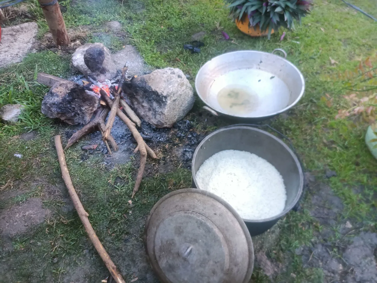 IMG20240127060953.jpg