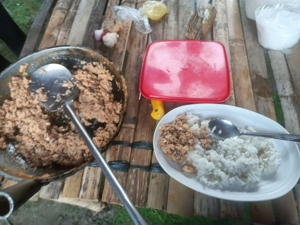 IMG20240127061238.jpg