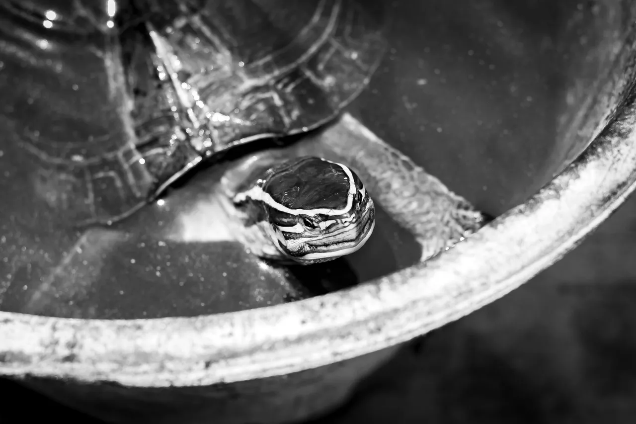 3 IMG_7646 copy.jpg