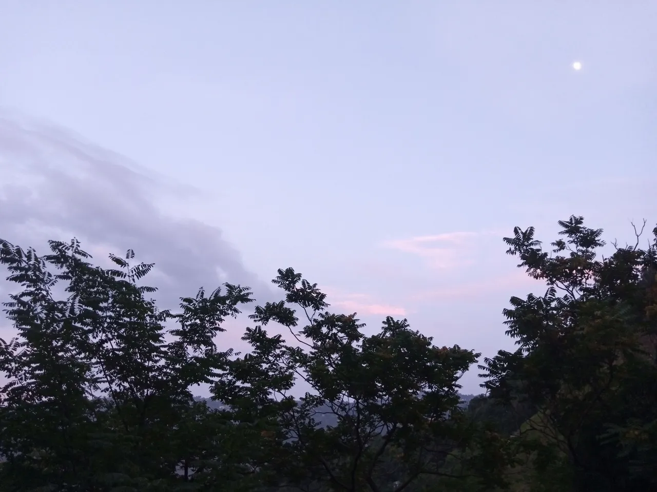 IMG_20220709_192316_369.jpg