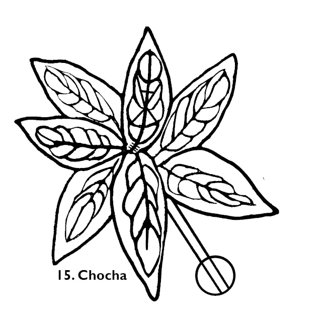 chokecherry1.png