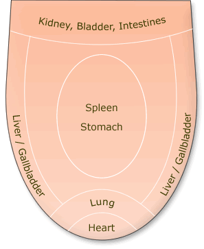 tongue_diagnosis.jpg
