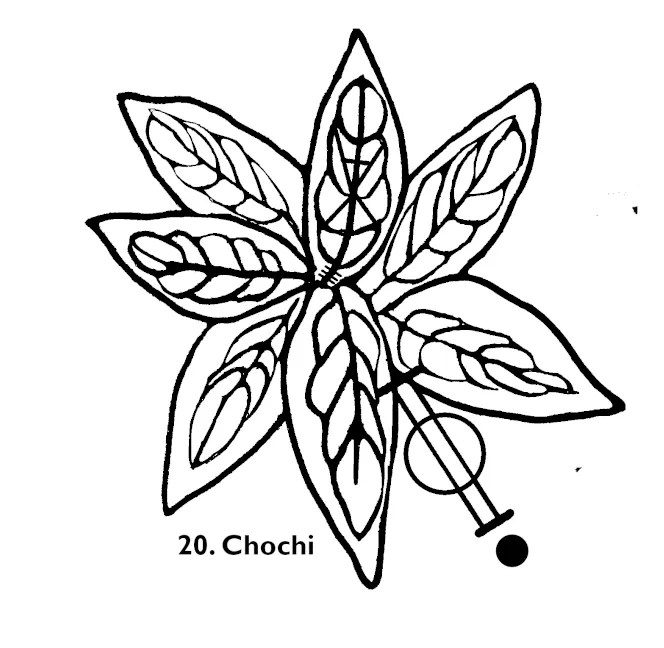 chokecherry2.png