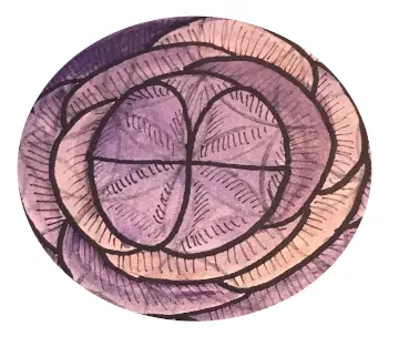 sigildrawing.png