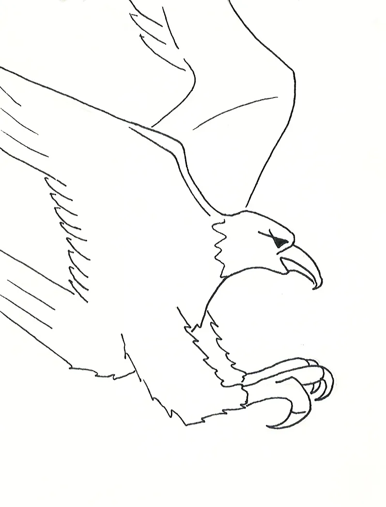 eagle.jpg