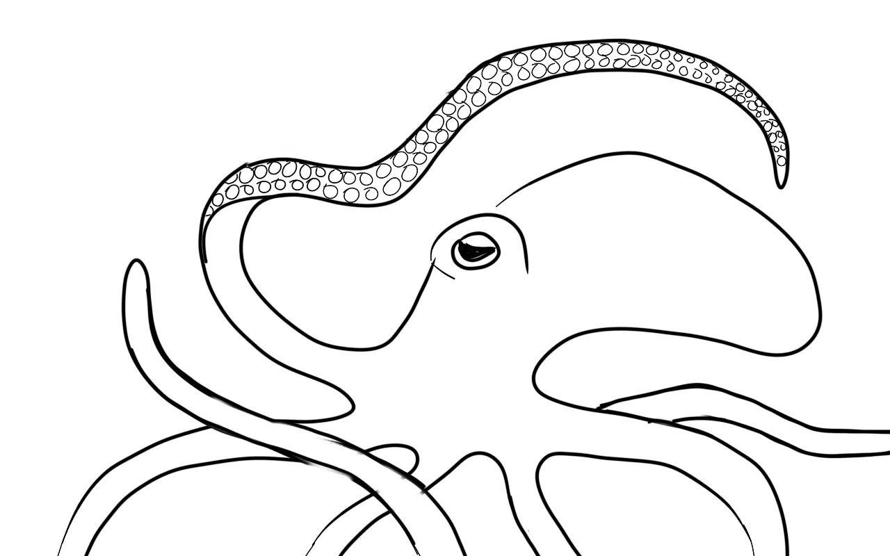 octopus1.png