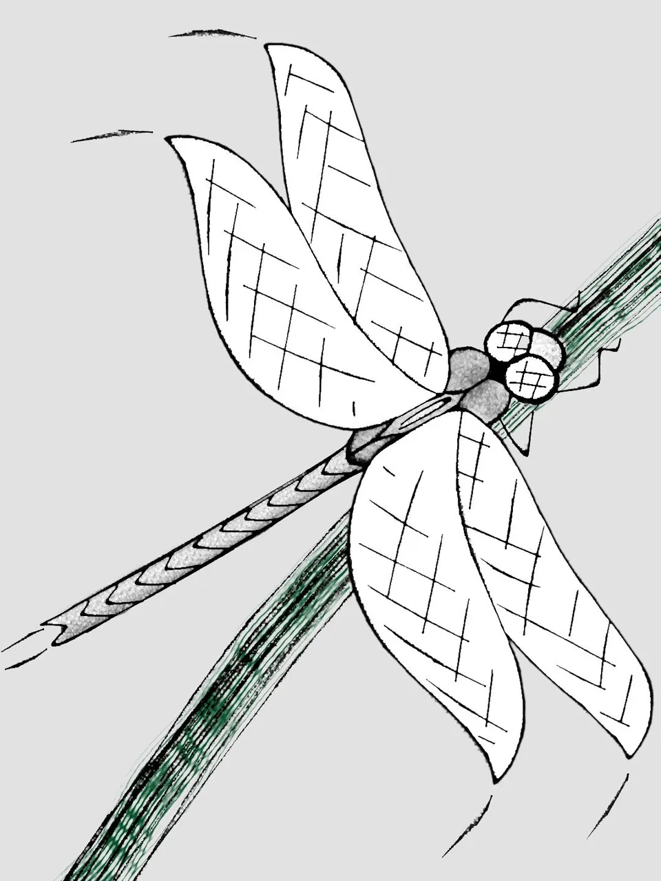 dragonfly1b.jpg