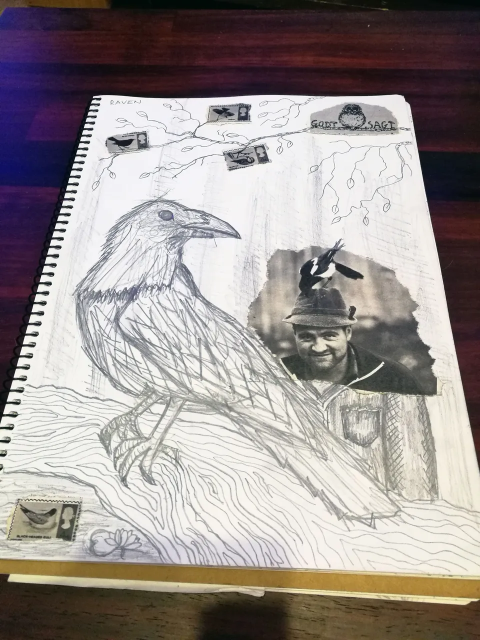 raven02.jpg