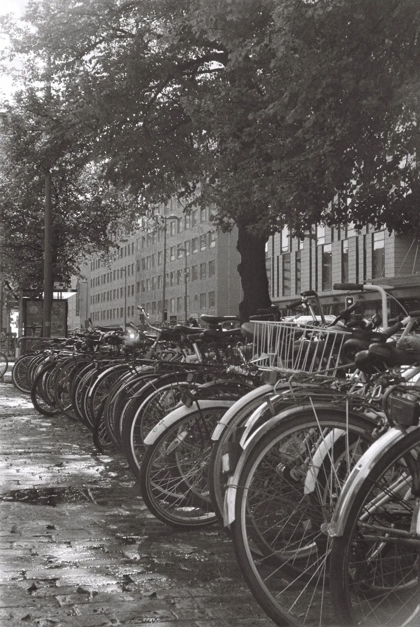 R1-04821-0017.jpg