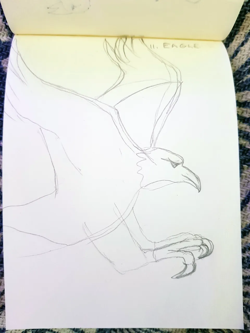 eagle (1).jpg
