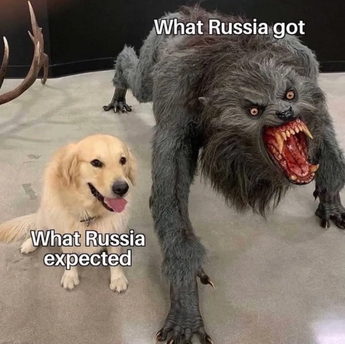 FNDvhKSXMAc1z8e.jpg