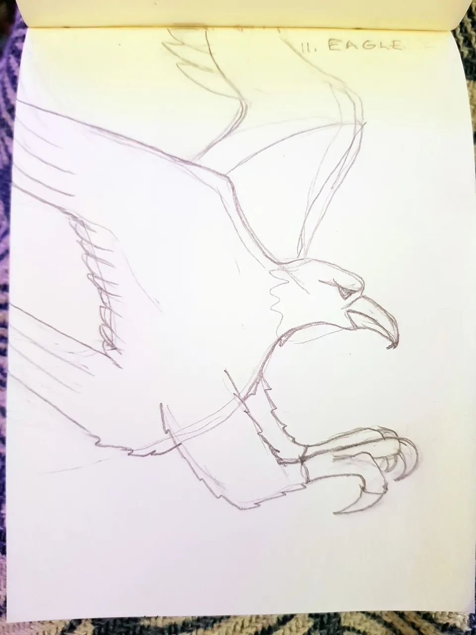 eagle (2).jpg