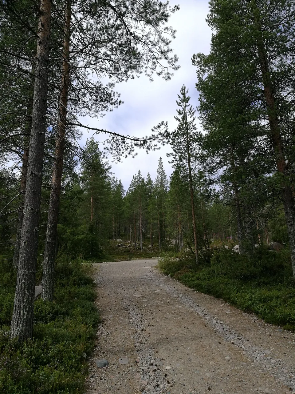 IMG_20210725_122824.jpg
