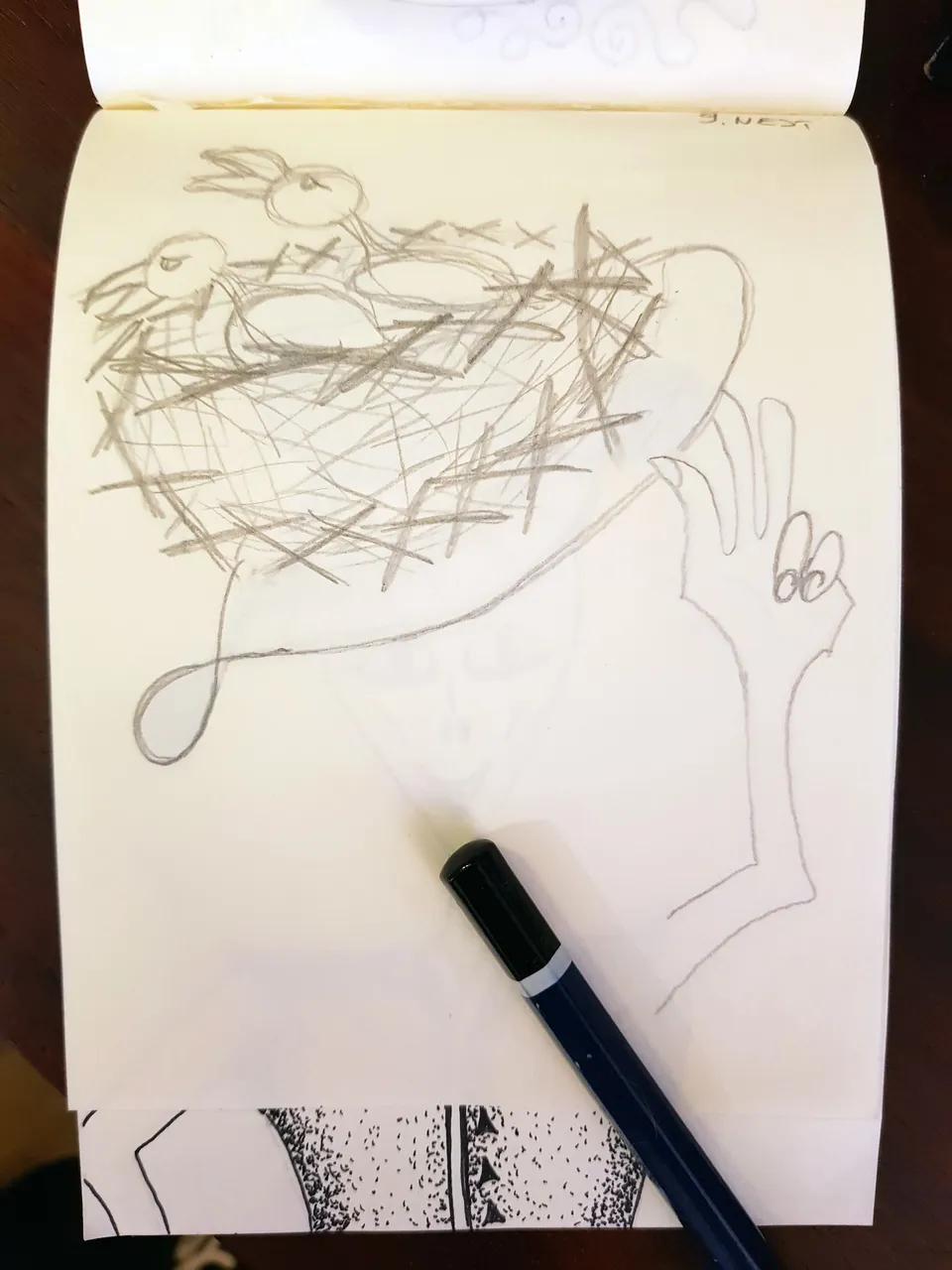 nest (3).jpg
