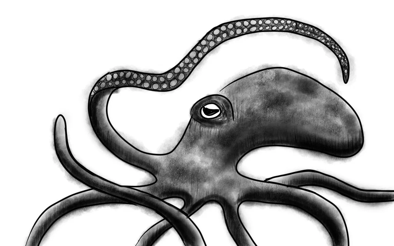 octopus3.jpg