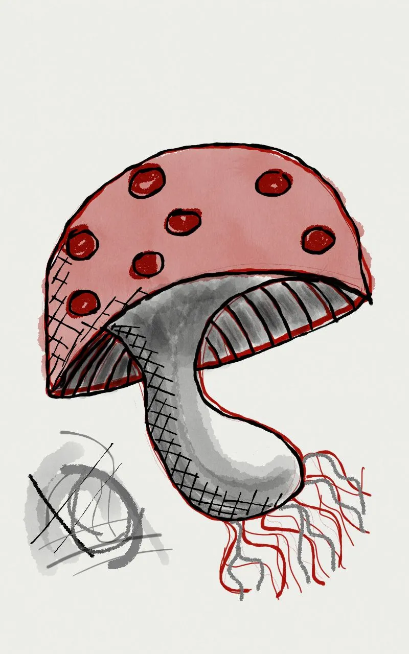 shroom2.jpg