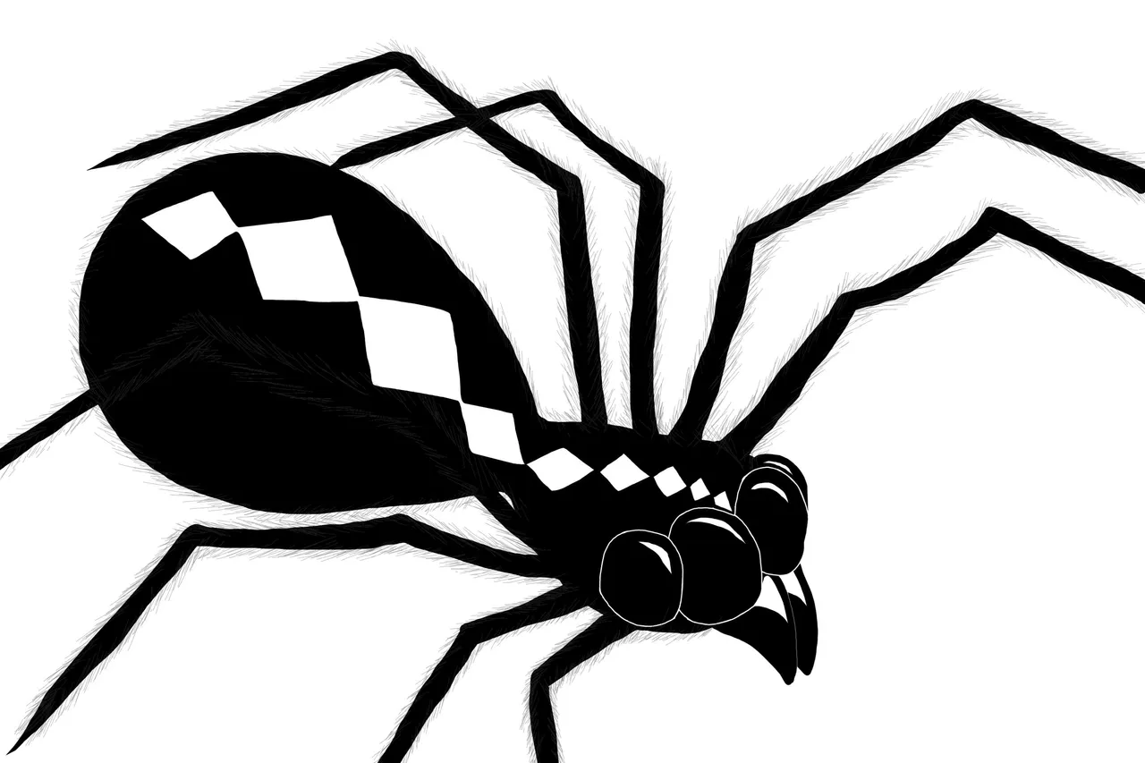 spider.jpg