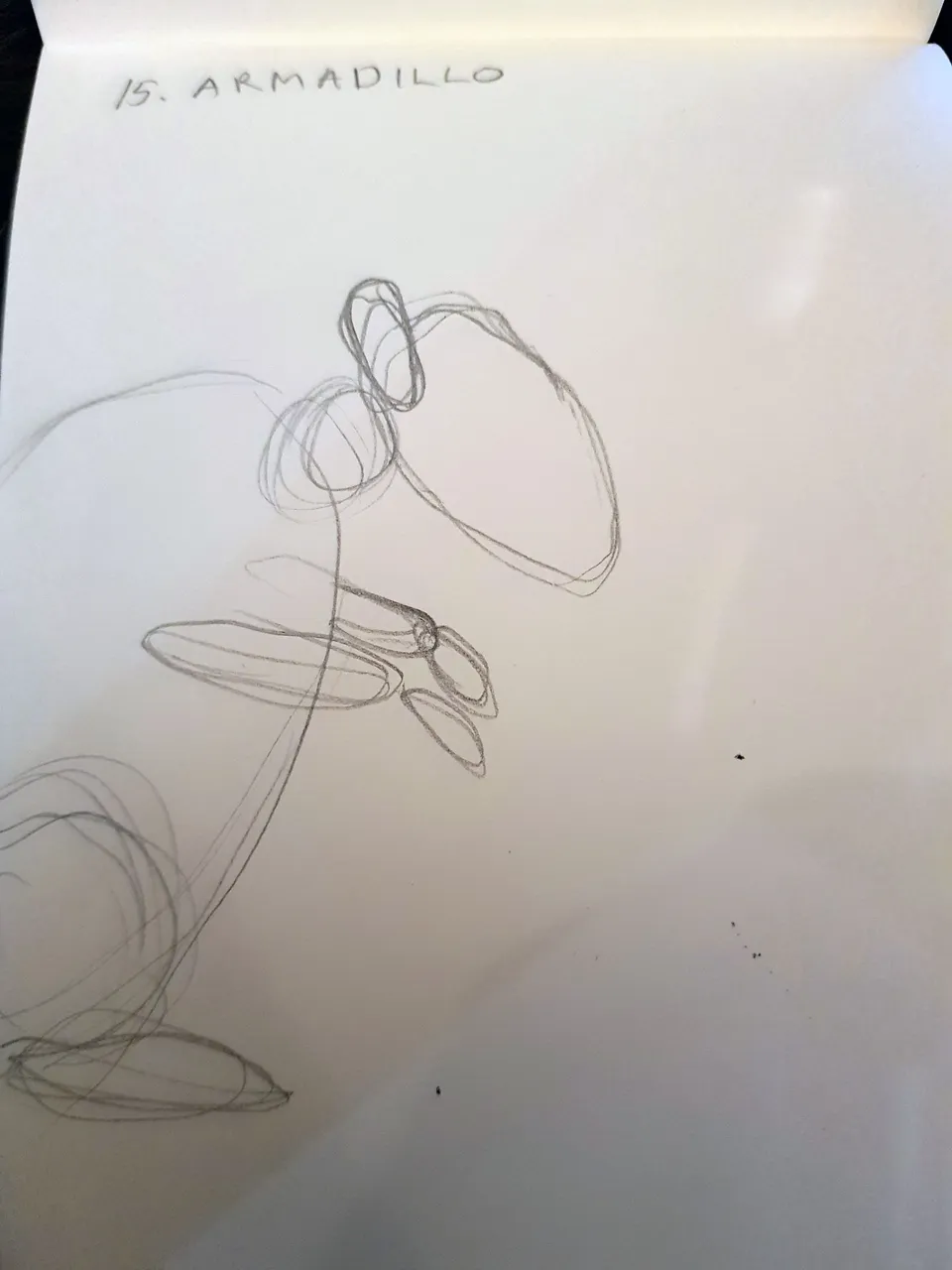 20221015_221716.jpg