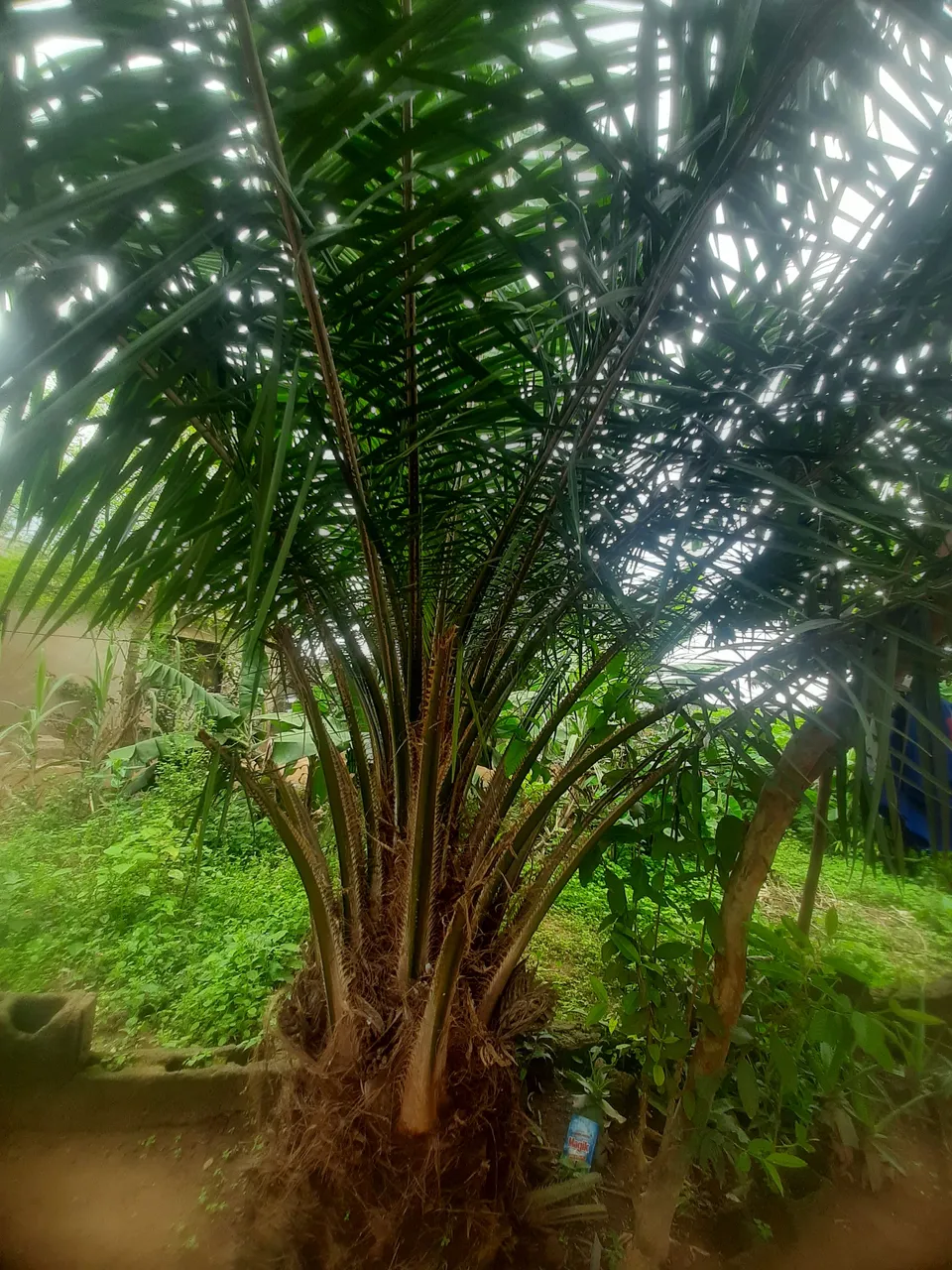 20210918_124435.jpg
