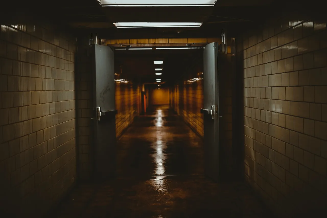 andy-li-L_QJabM3f-U-unsplash.jpg