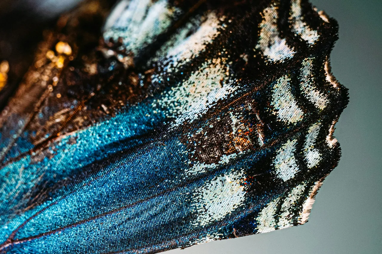 megs-harrison-fgl2V0mrVyQ-unsplash.jpg