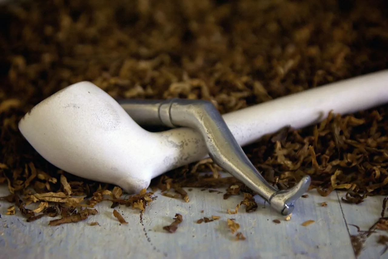 canstockphoto22130416.jpg