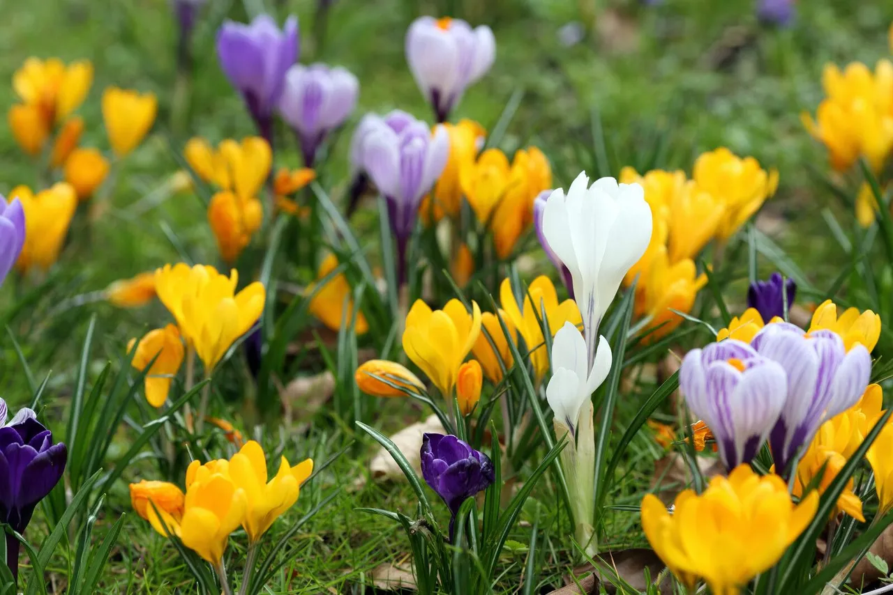 canstockphoto13543872.jpg