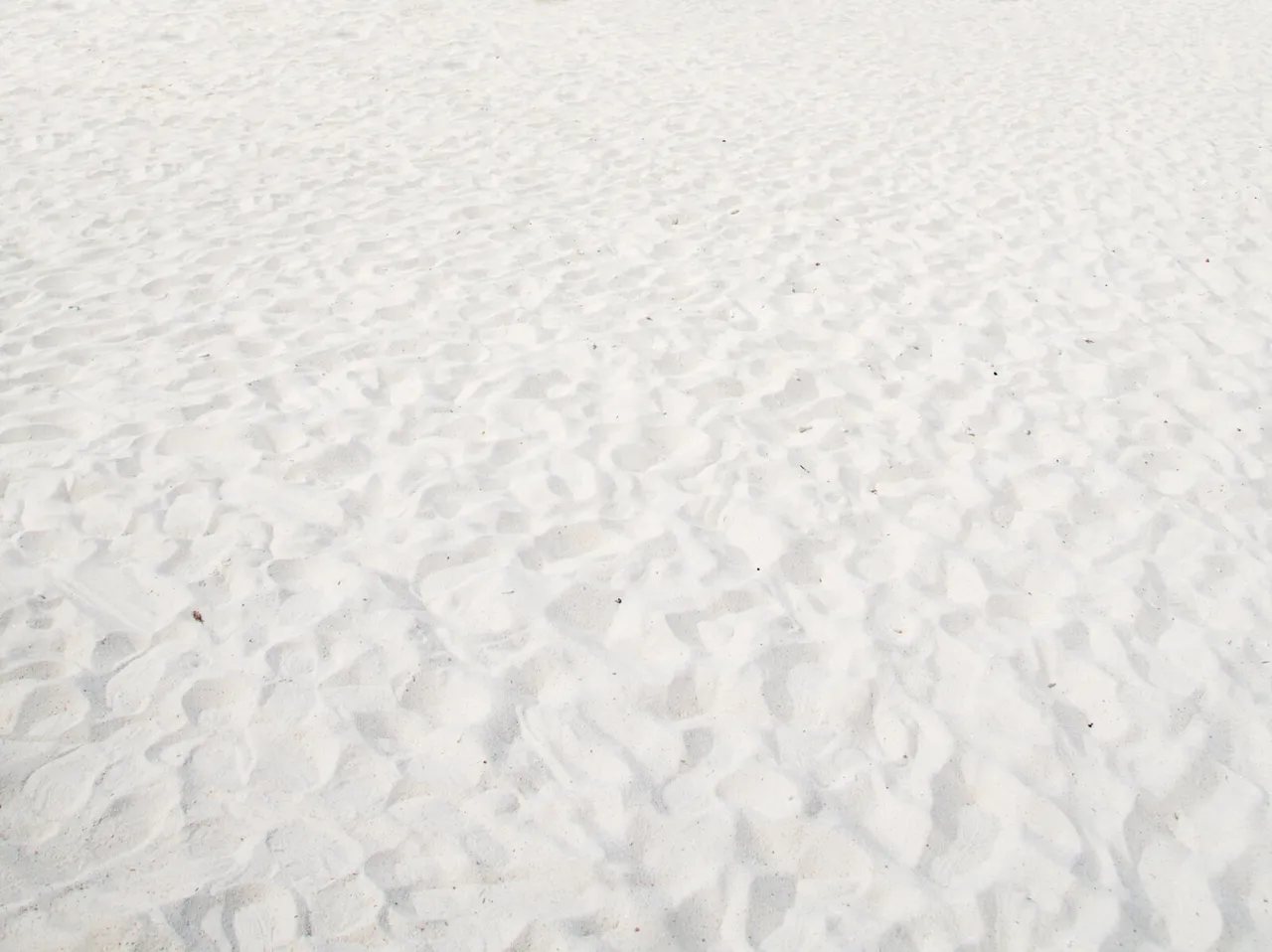 canstockphoto11793650.jpg