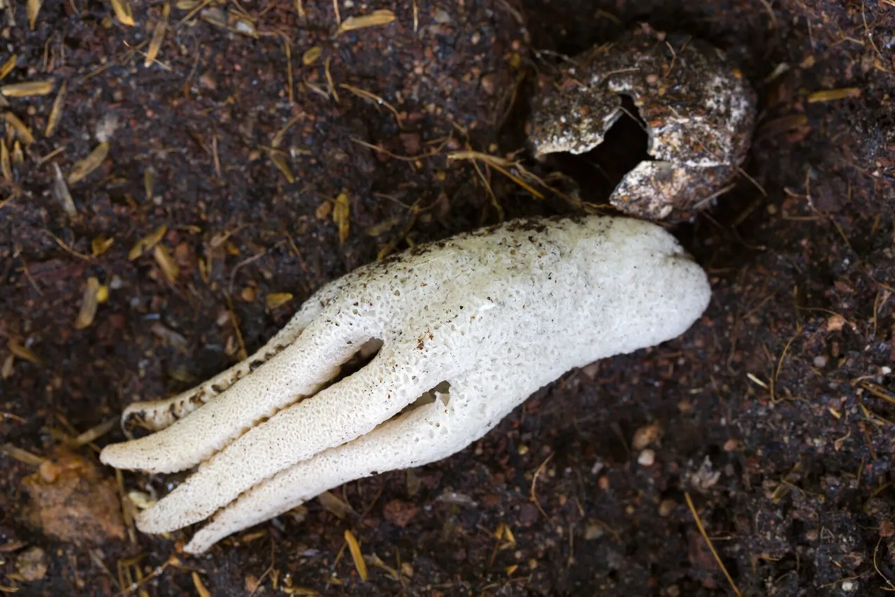 canstockphoto40877996.jpg