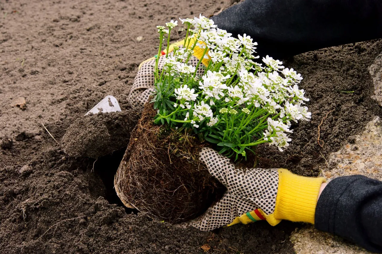 canstockphoto16248589.jpg