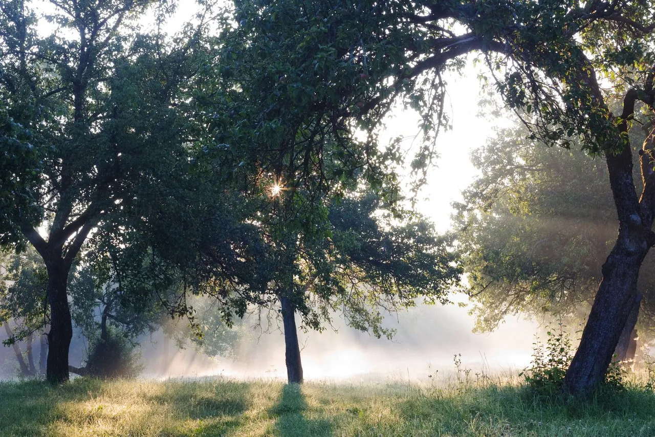 canstockphoto2302766.jpg