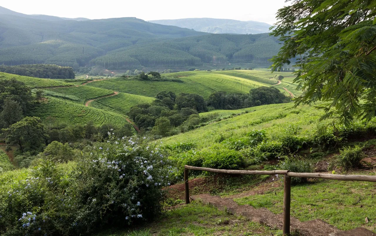 canstockphoto15805268.jpg
