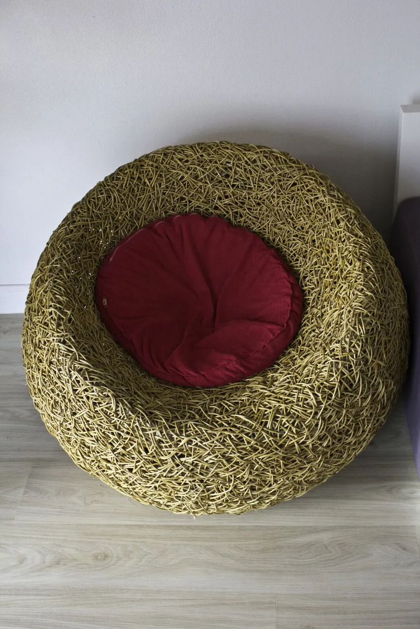 canstockphoto11557589.jpg