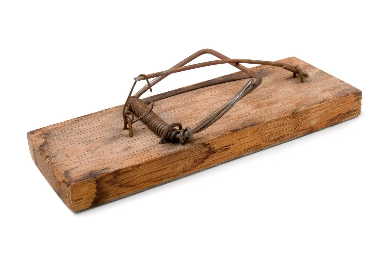 canstockphoto4940027.jpg