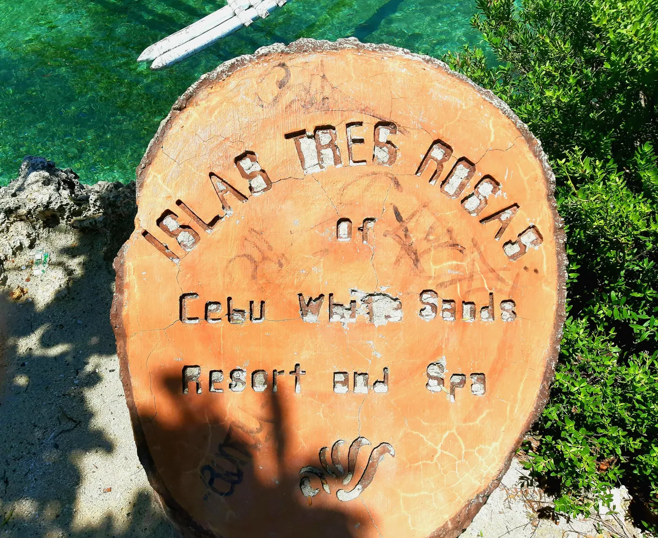 20201004_110133.jpg