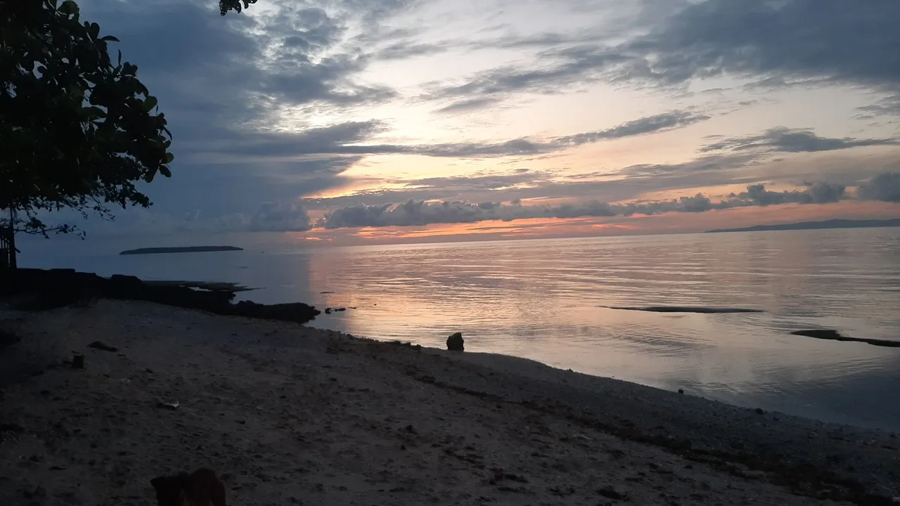 20230819_052905.jpg